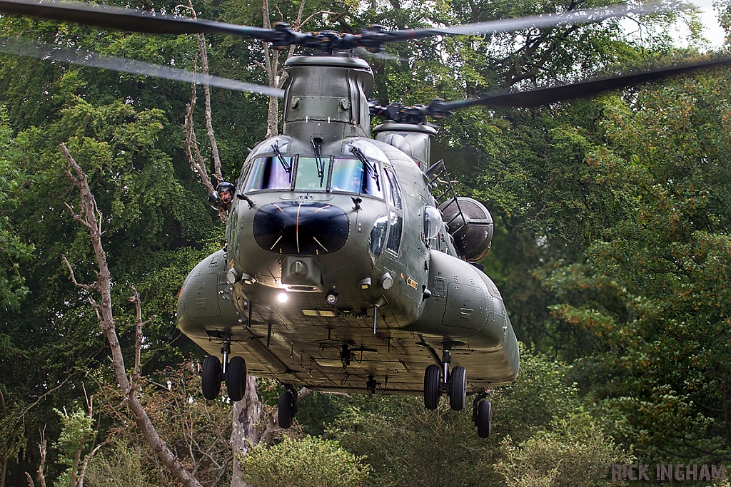 Boeing Chinook HC3 - ZH900 - RAF