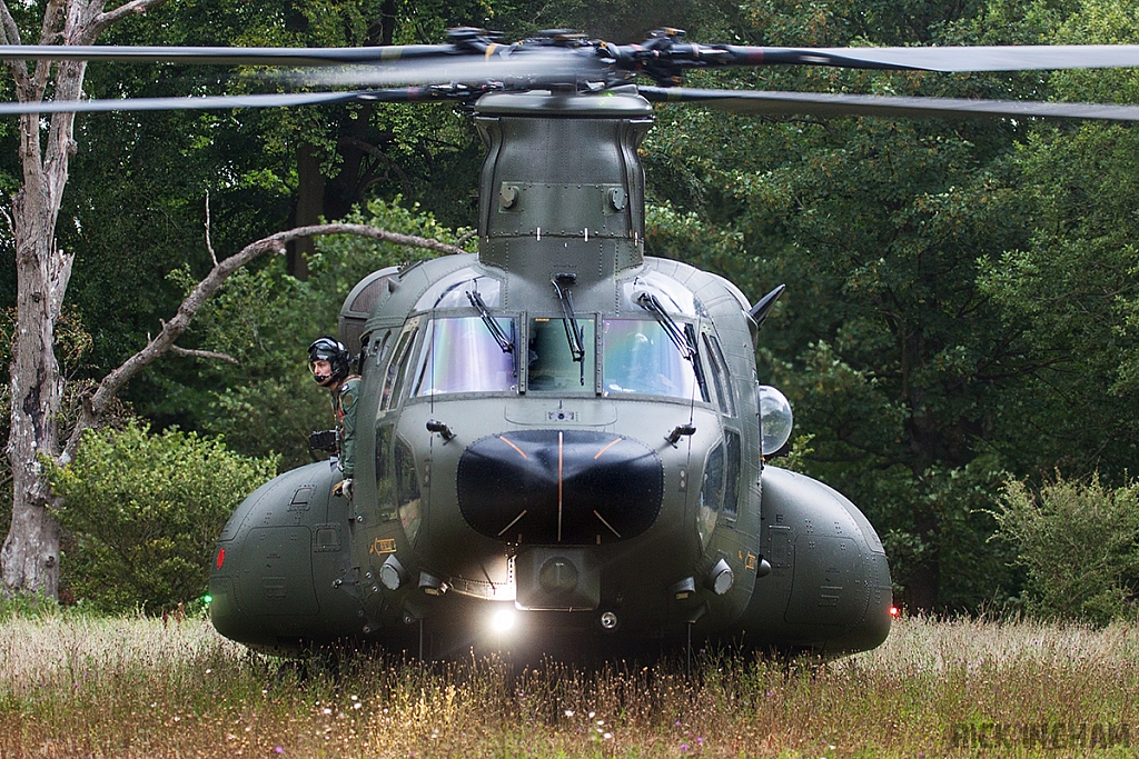 Boeing Chinook HC3 - ZH900 - RAF