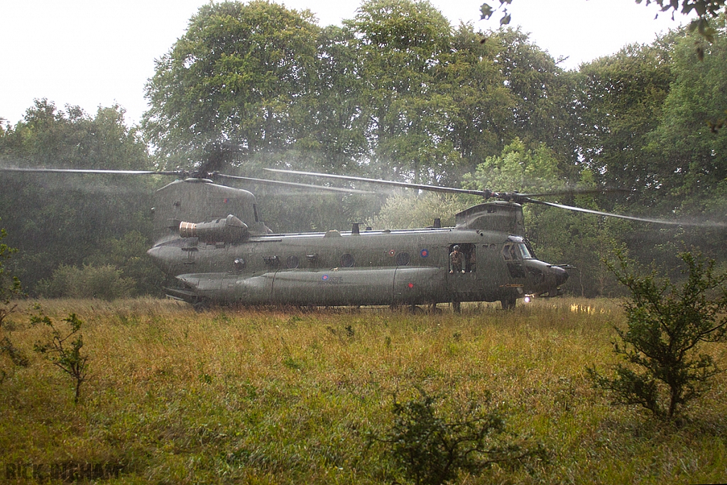 Boeing Chinook HC3 - ZH900 - RAF