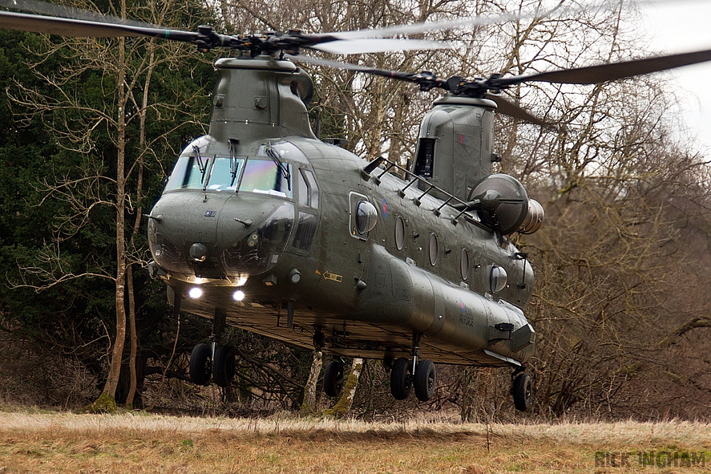 Boeing Chinook HC4 - ZD981 - RAF