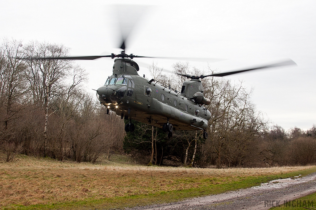 Boeing Chinook HC4 - ZD981 - RAF