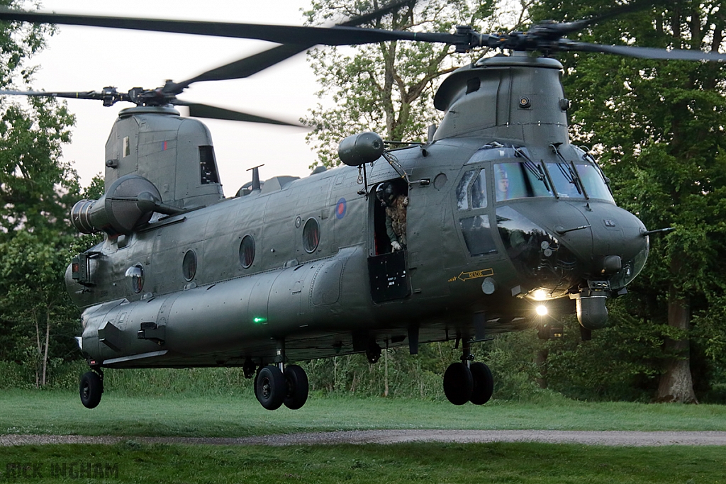 Boeing Chinook HC4 - ZD981 - RAF