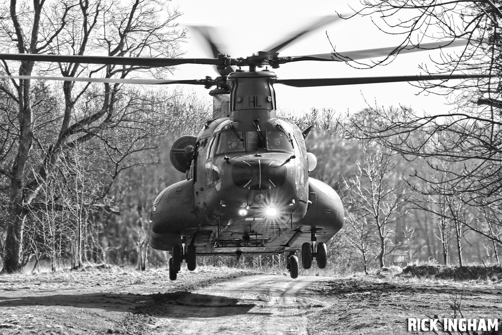 Boeing Chinook HC3 - ZH897/HL - RAF