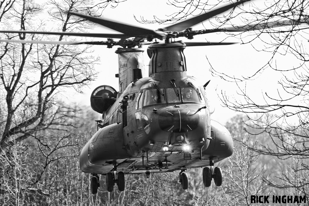 Boeing Chinook HC3 - ZH897/HL - RAF