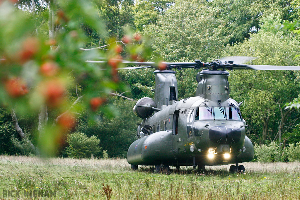 Boeing Chinook HC3 - ZH901 - RAF