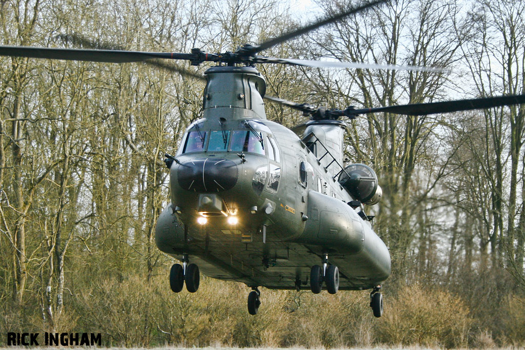 Boeing Chinook HC3 - ZH901 - RAF