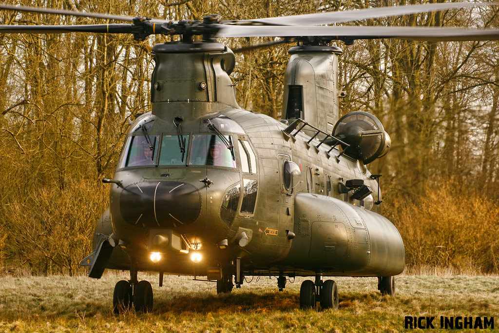 Boeing Chinook HC3 - ZH901 - RAF