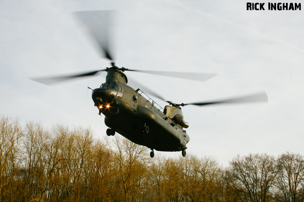 Boeing Chinook HC3 - ZH901 - RAF