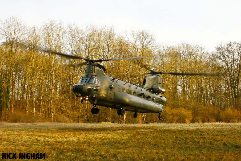 Boeing Chinook HC3 - ZH901 - RAF