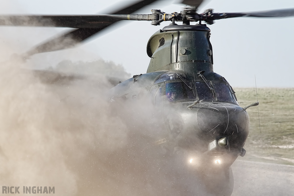 Boeing Chinook HC3 - ZH902 - RAF