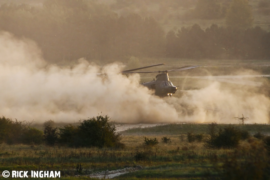 Boeing Chinook HC3 - ZH902 - RAF