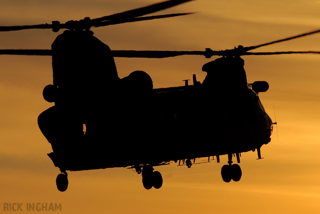 Boeing Chinook HC2 - ZH895/HJ - RAF