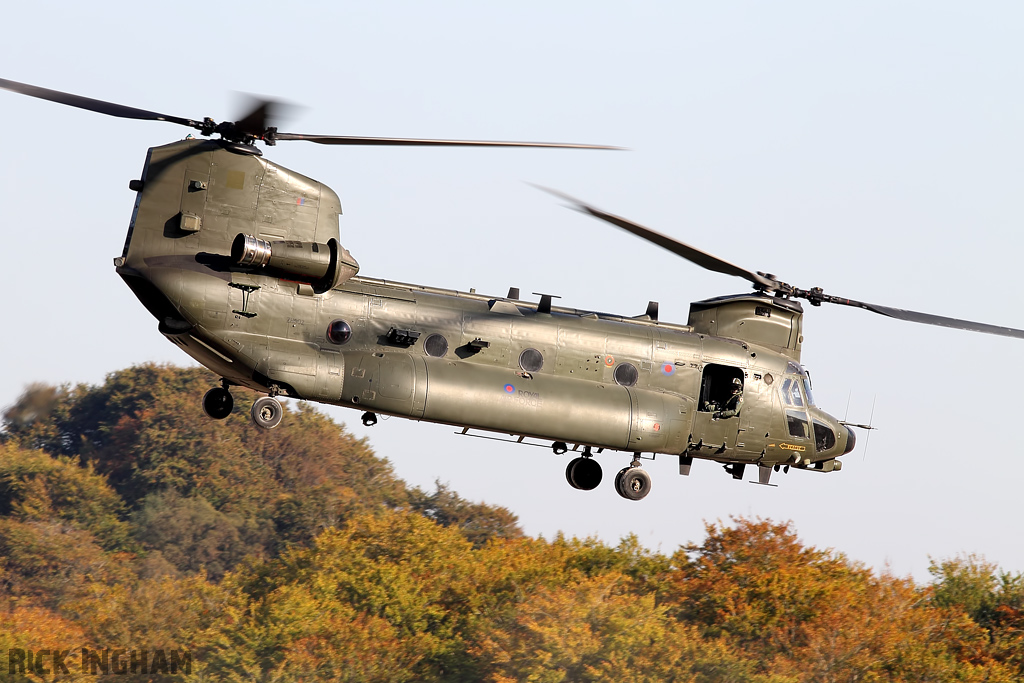 Boeing Chinook HC3 - ZH902 - RAF