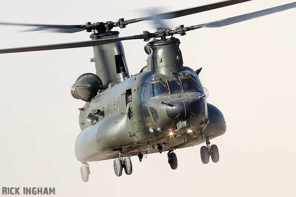 Boeing Chinook HC3 - ZH902 - RAF