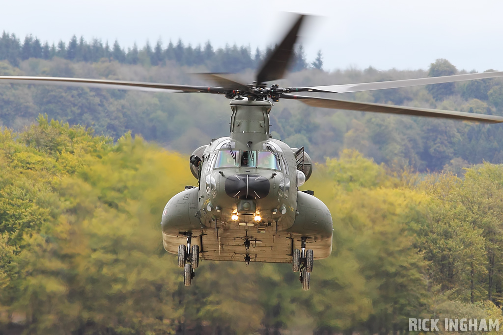 Boeing Chinook HC3 - ZH904 - RAF