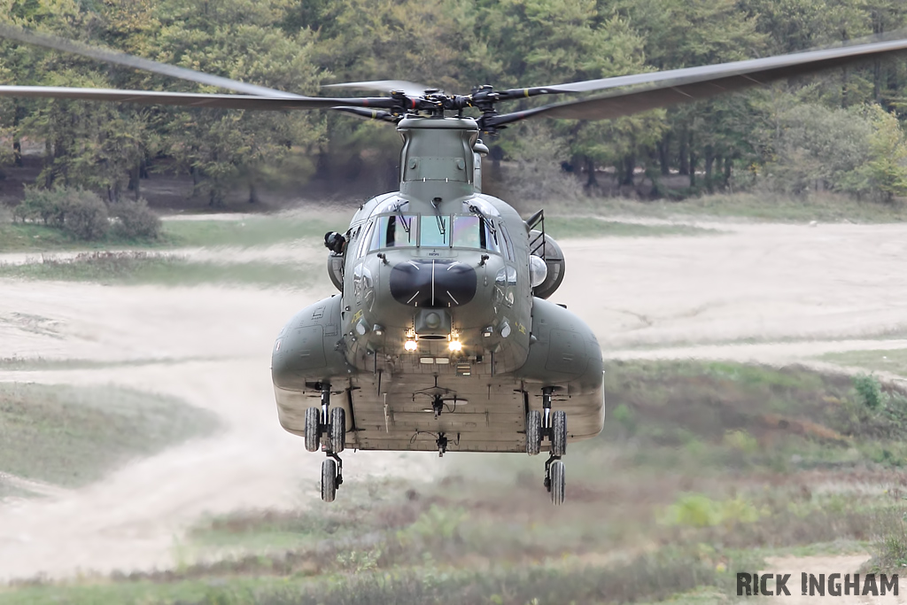 Boeing Chinook HC3 - ZH904 - RAF