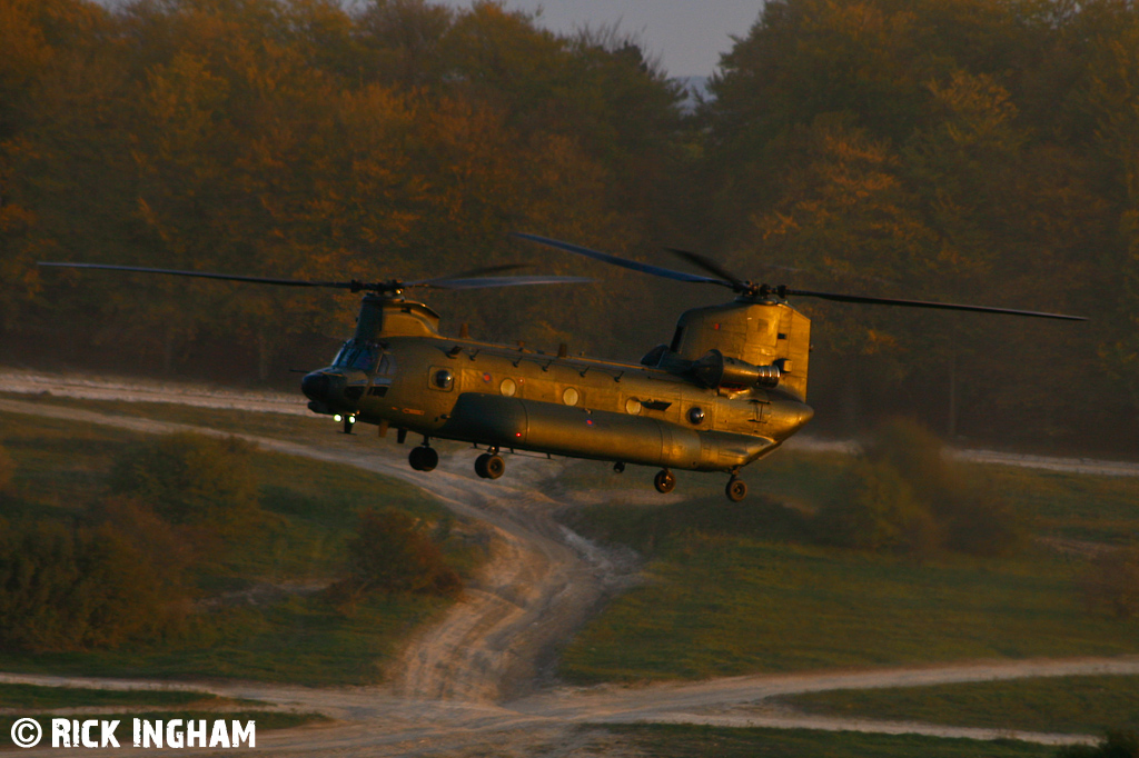 Boeing Chinook HC3 - ZH902 - RAF