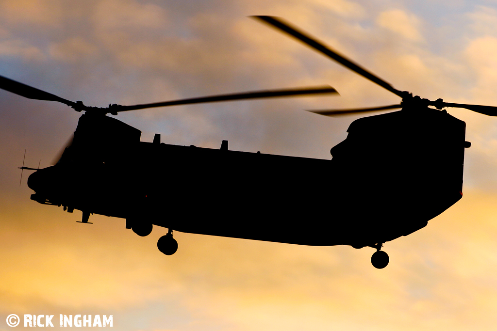 Boeing Chinook HC3 - ZH902 - RAF