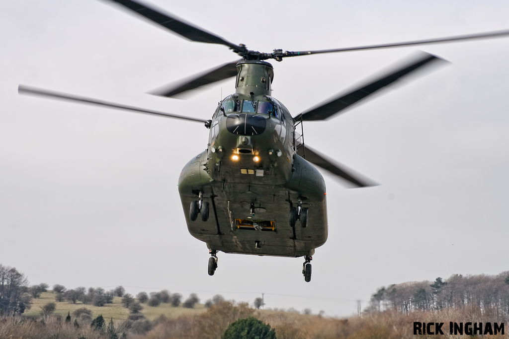 Boeing Chinook HC3 - ZH902 - RAF