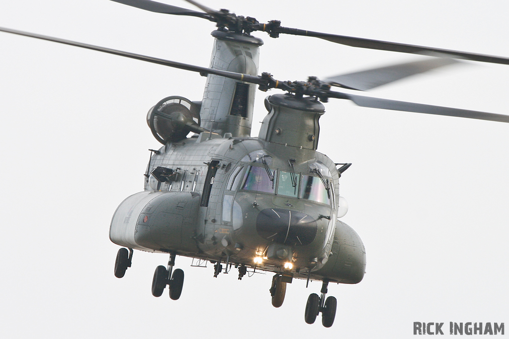 Boeing Chinook HC3 - ZH901 - RAF