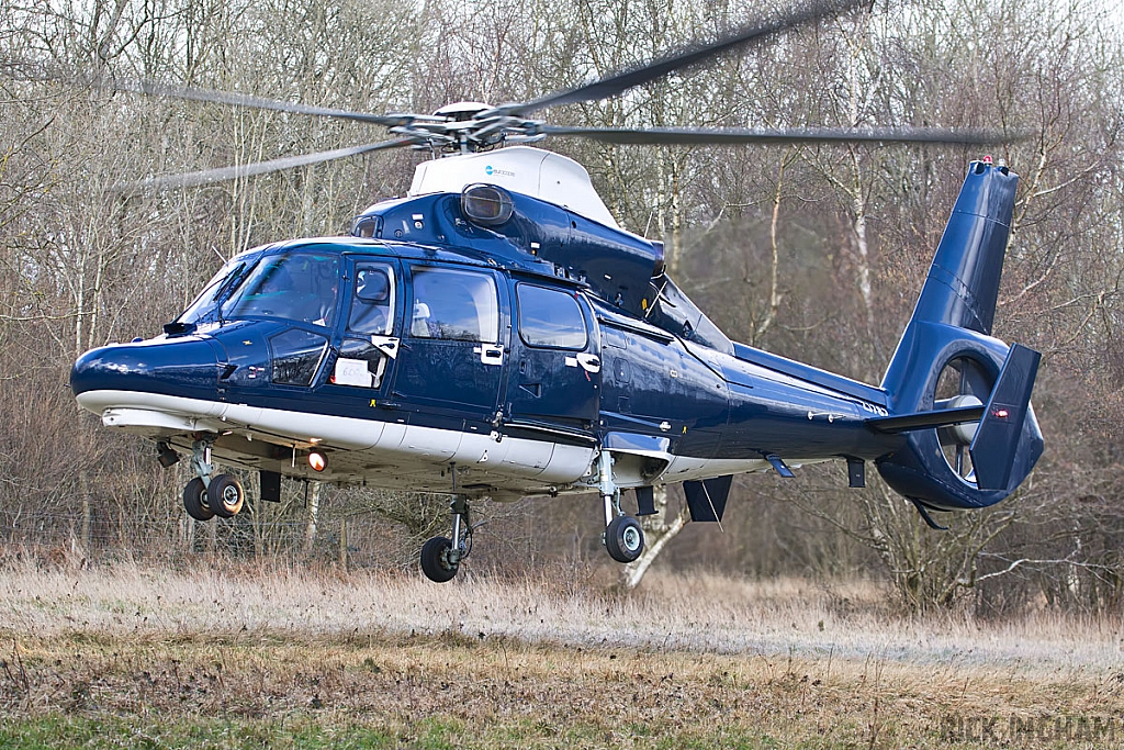 Eurocopter AS365N Dauphin II - ZJ782 - AAC
