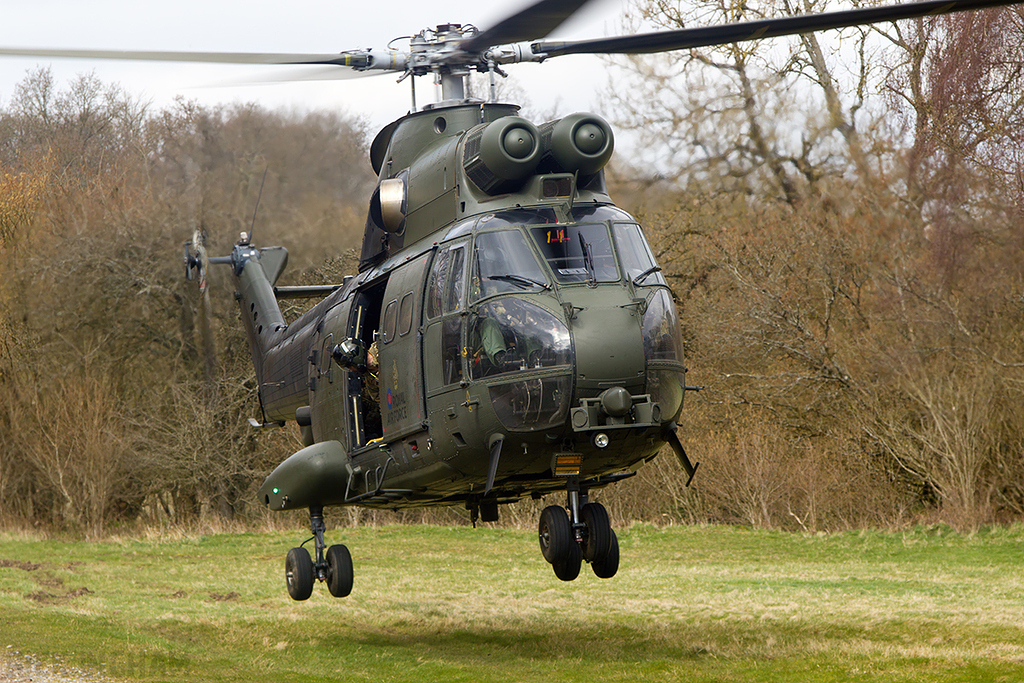 Eurocopter Puma HC2 - XW204 - RAF