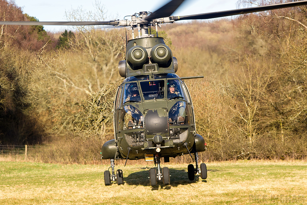 Westland Puma HC2 - XW232 - RAF