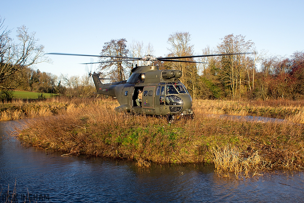 Eurocopter Puma HC2 - ZJ956 - RAF