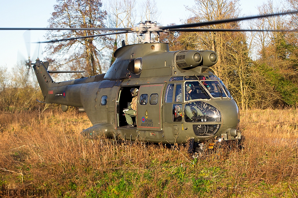 Eurocopter Puma HC2 - ZJ956 - RAF