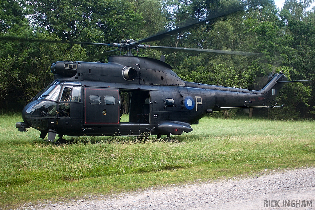 Eurocopter Puma HC2 - ZJ955 - RAF