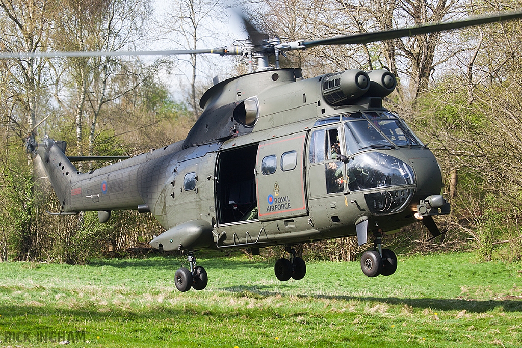 Eurocopter Puma HC2 - XW229 - RAF