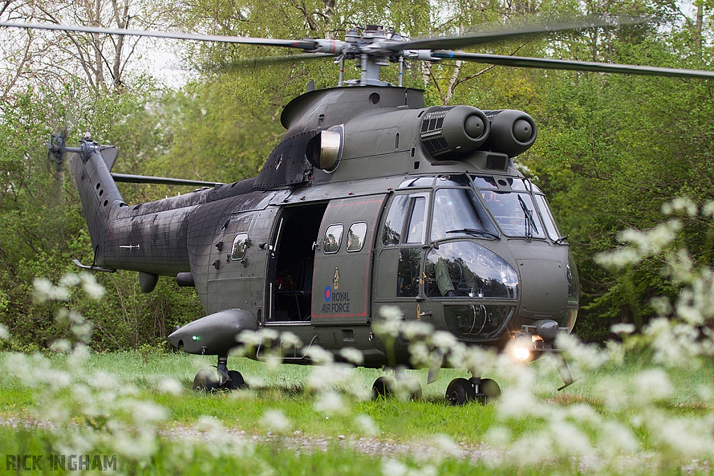 Eurocopter Puma HC2 - XW229 - RAF