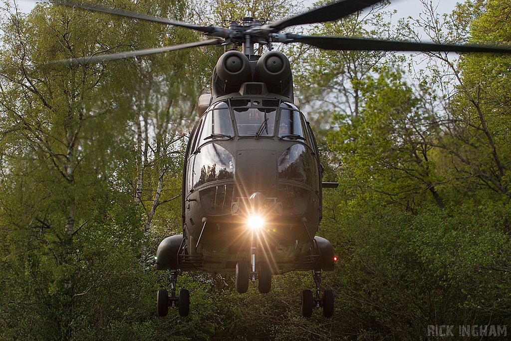 Eurocopter Puma HC2 - XW229 - RAF