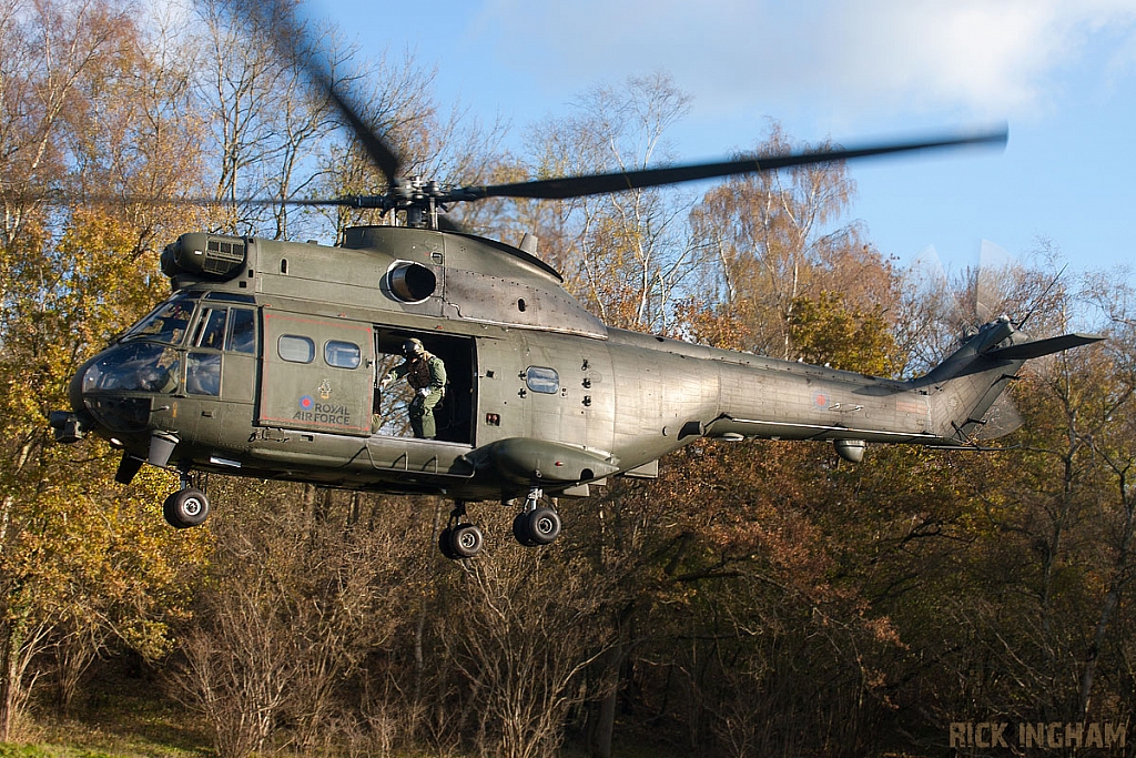 Eurocopter Puma HC2 - ZJ954 - RAF