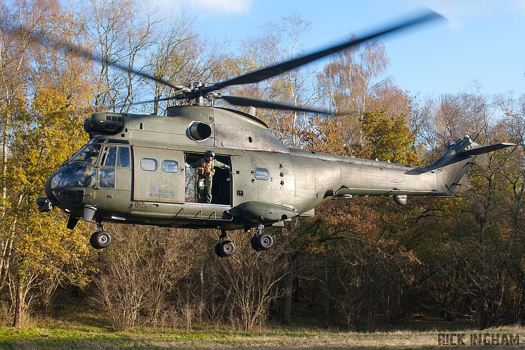 Eurocopter Puma HC2 - ZJ954 - RAF