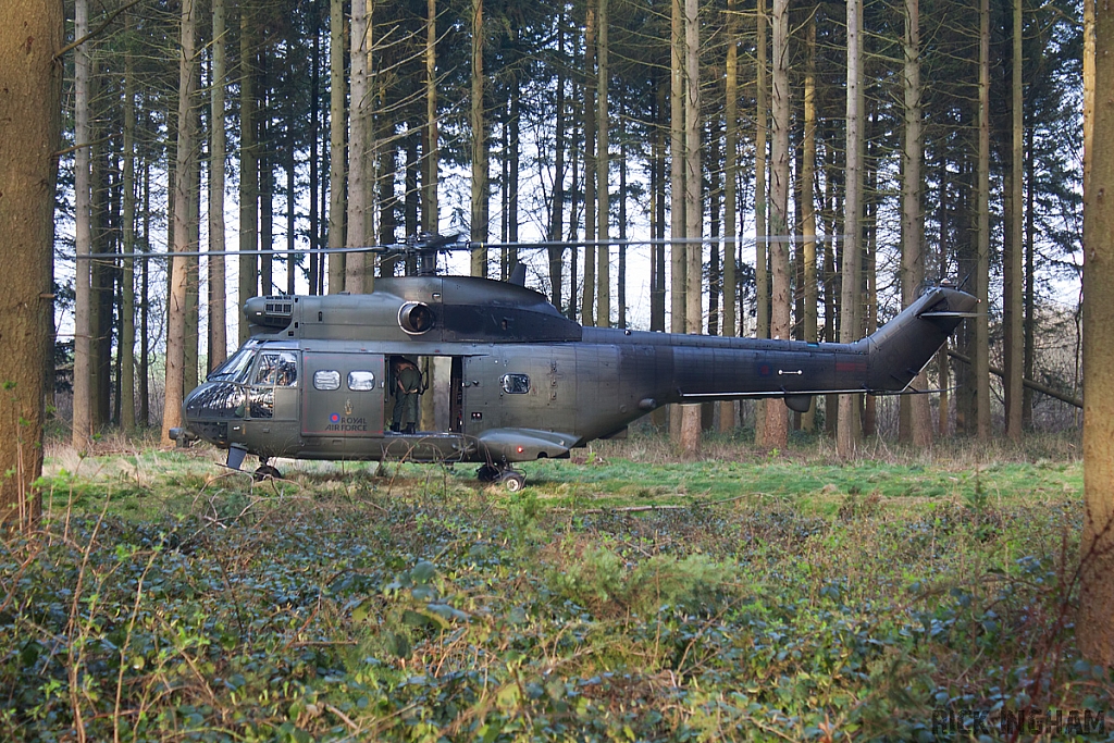 Eurocopter Puma HC2 - ZJ954 - RAF