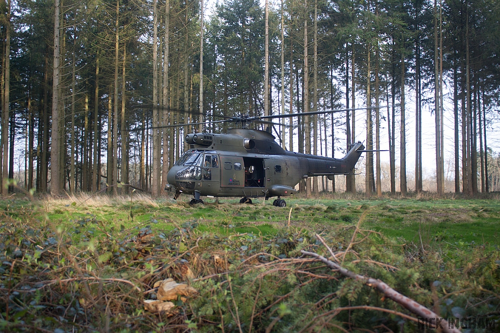 Eurocopter Puma HC2 - ZJ954 - RAF