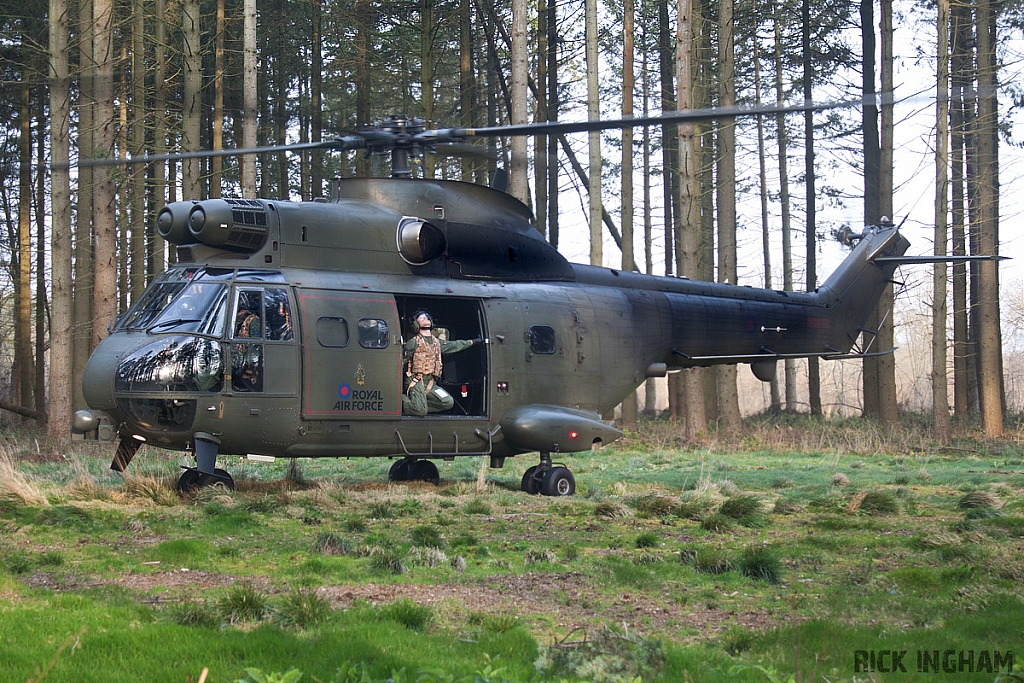 Eurocopter Puma HC2 - ZJ954 - RAF