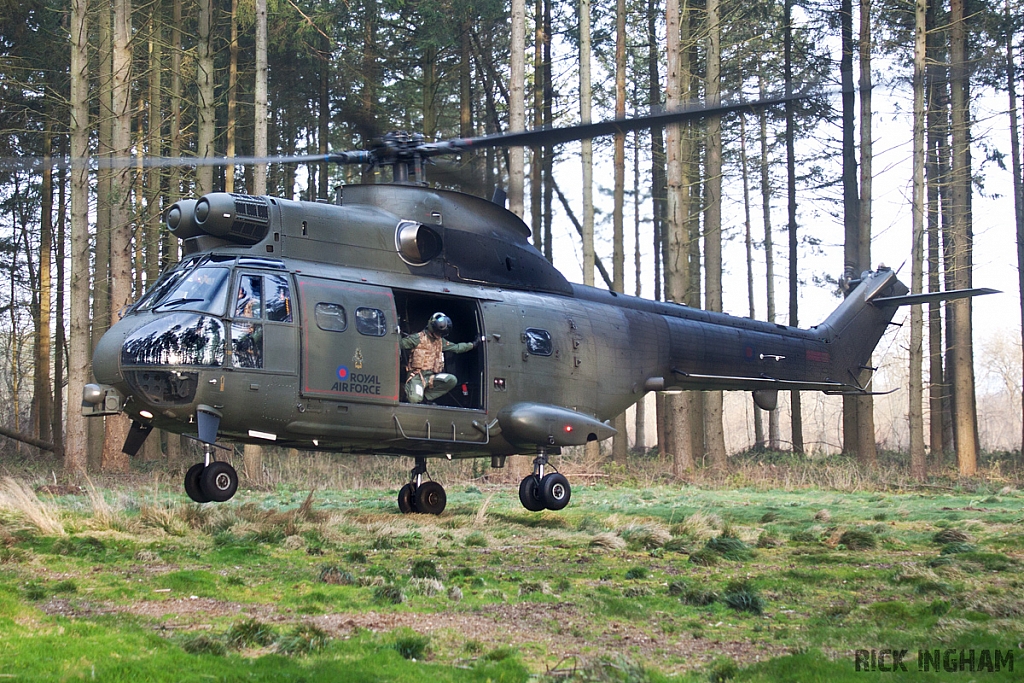 Eurocopter Puma HC2 - ZJ954 - RAF