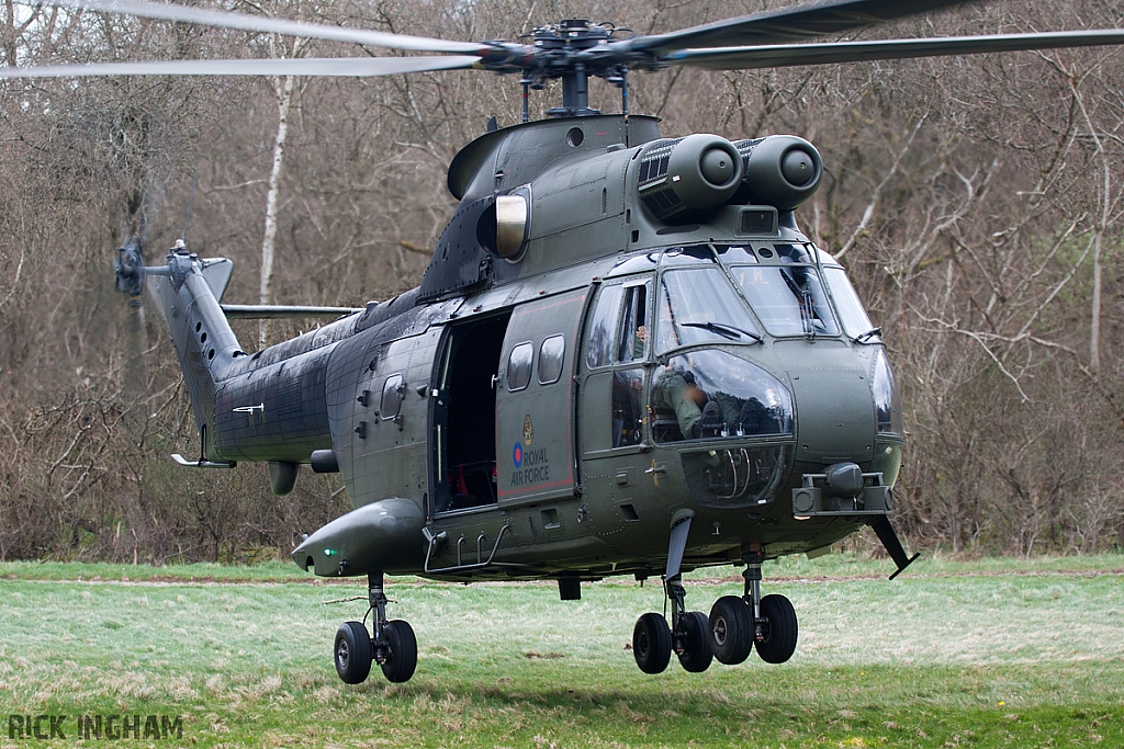 Eurocopter Puma HC2 - ZJ954 - RAF