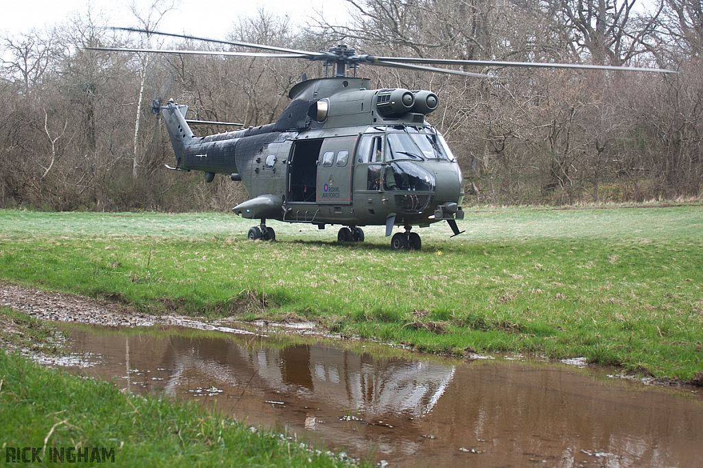 Eurocopter Puma HC2 - ZJ954 - RAF