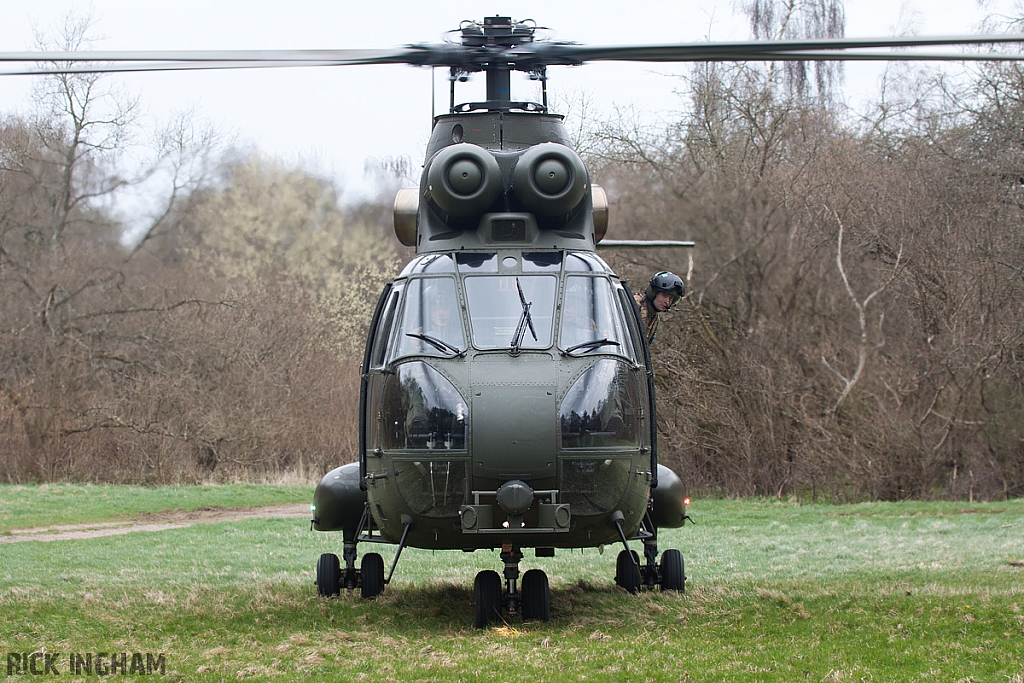 Eurocopter Puma HC2 - ZJ954 - RAF