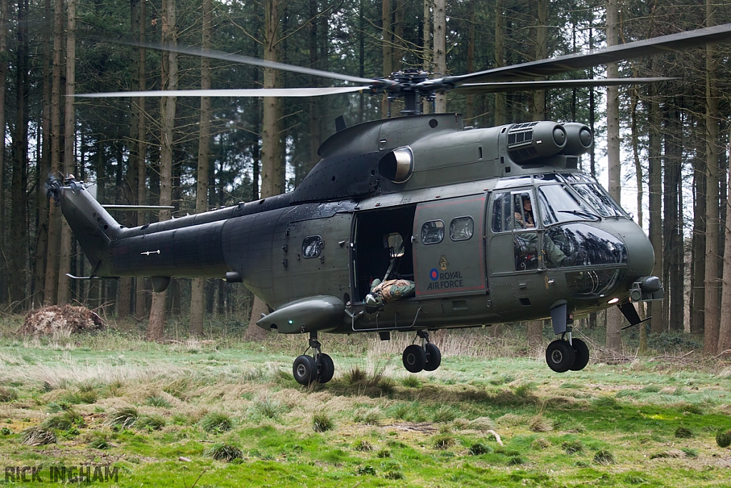 Eurocopter Puma HC2 - ZJ954 - RAF