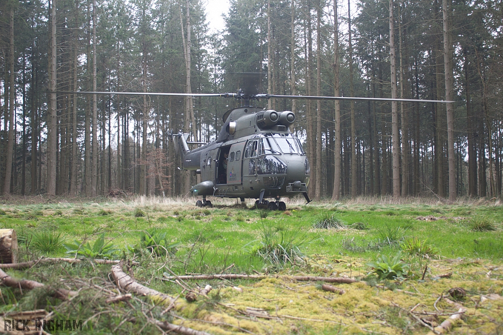 Eurocopter Puma HC2 - ZJ954 - RAF