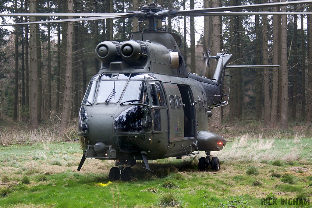 Eurocopter Puma HC2 - ZJ954 - RAF