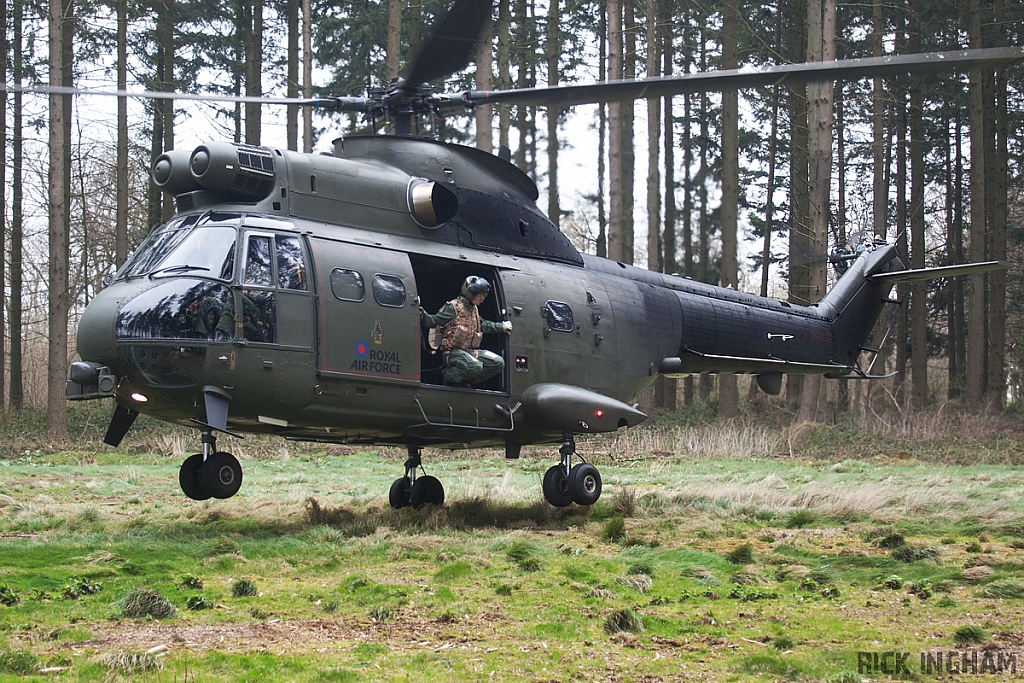 Eurocopter Puma HC2 - ZJ954 - RAF