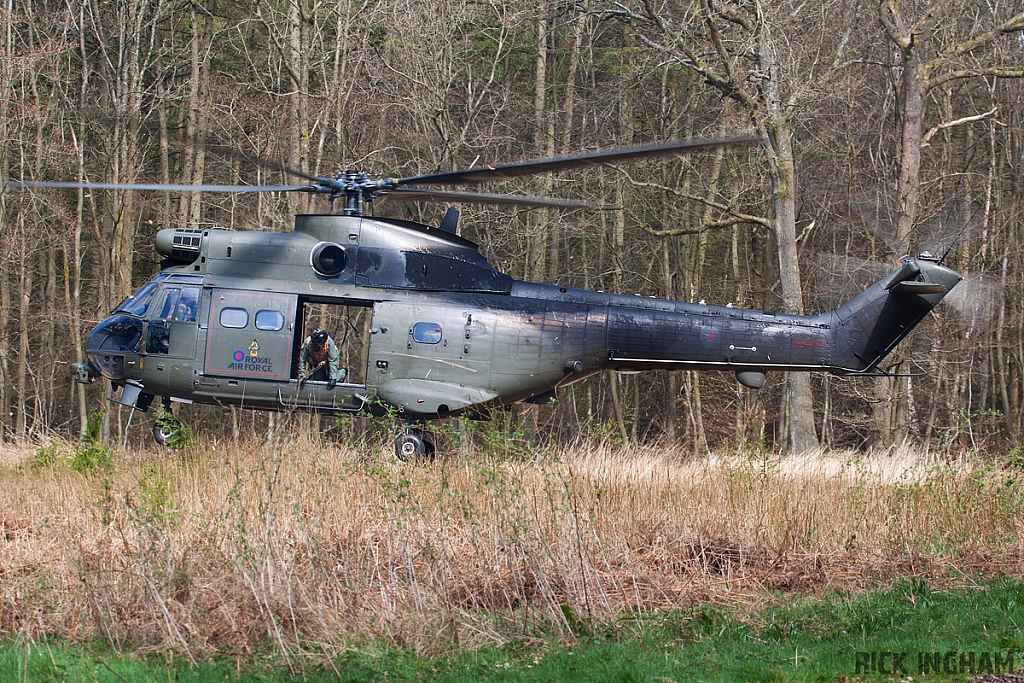 Eurocopter Puma HC2 - XW231 - RAF