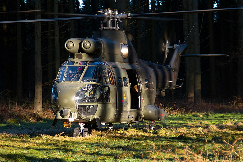 Eurocopter Puma HC2 - XW232 - RAF