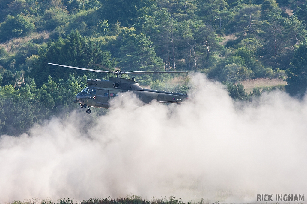 Eurocopter Puma HC2 - XW232 - QinetiQ