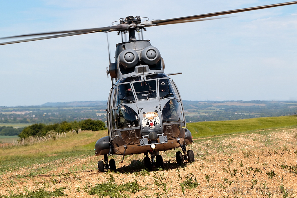 Eurocopter Puma HC2 - XW224 - RAF